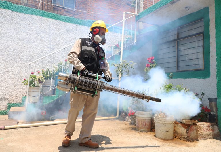 Michoacanos se suman a las acciones de combate al dengue: SSM