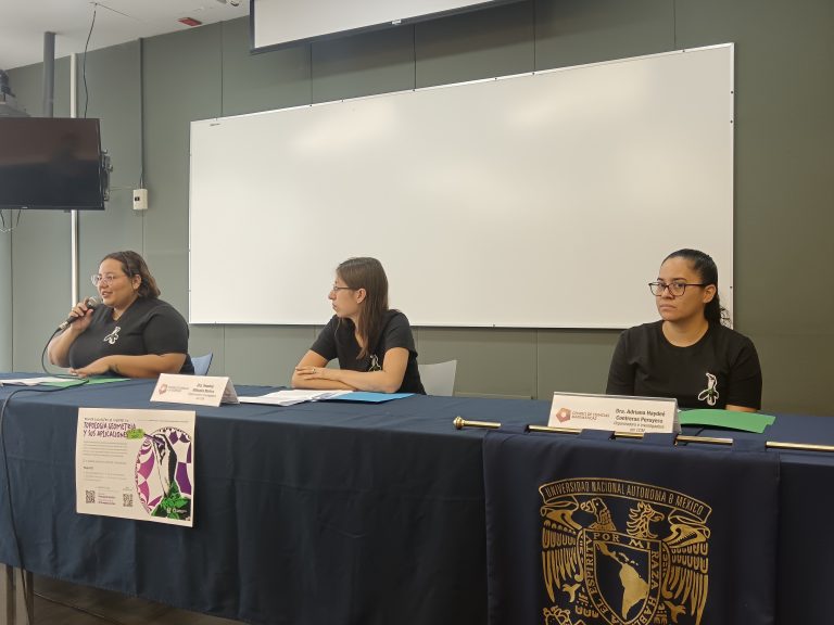 Realizarán primer Encuentro de Mujeres en Tipografía, Geometría y sus aplicaciones