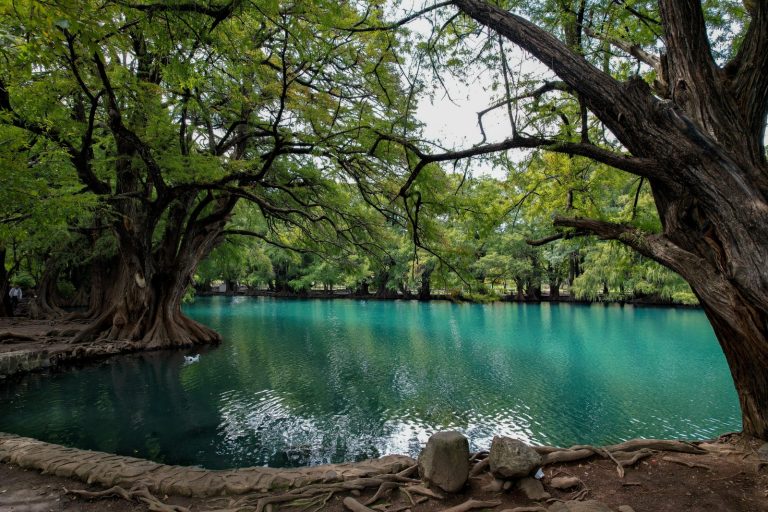 Michoacán triplica superficie de Áreas Naturales Protegidas