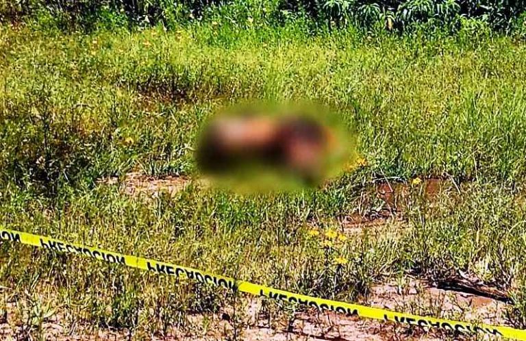 Localizan cadáver putrefacto y carcomido por animales en predio de Tangancícuaro