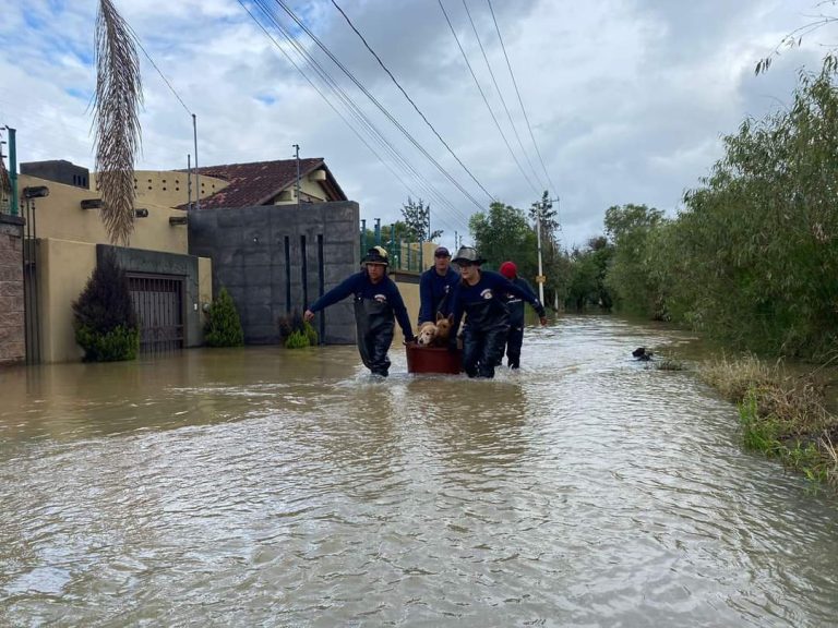 Más de 800 viviendas afectadas en 11 municipios por Jonh, pedirán declaratoria de desastre: PC