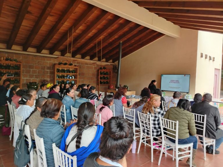 Capacitan a comerciantes de Pátzcuaro en manejo de alimentos