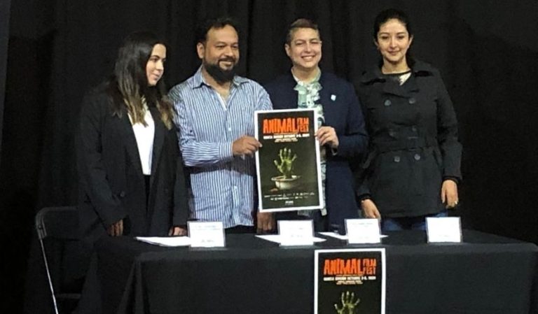 Aumenta la recepción de trabajos locales para el Animal Film Fest