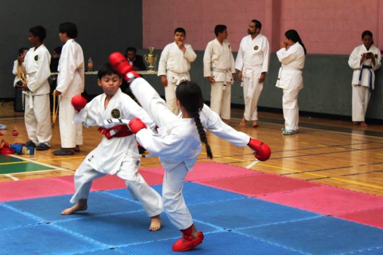 Exitoso V Torneo de Karate Do de Goyu Ryu Internacional Morelia