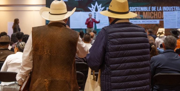 Elaborarán plan de acción de impulso al mezcal michoacano