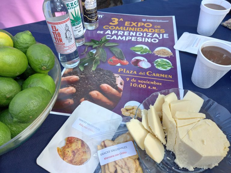 Se realizará la tercera «Expo de Comunidades de Aprendizaje Campesino»