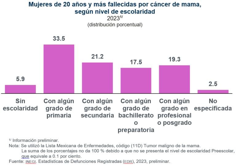En 2023, hubo 8 mil 034 muertes por cáncer de mama en la población de 20 años y más