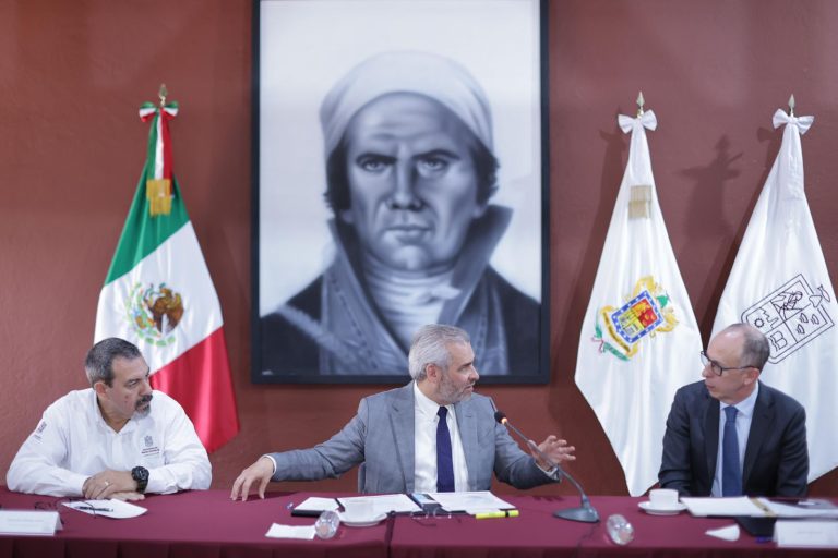 Gobierno debe garantizar que el aguacate que llega a EU no proviene de suelo deforestado: Climate Right