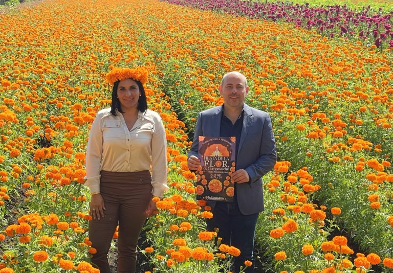 Tarímbaro se prepara para la fiesta de la flor de cempasúchil