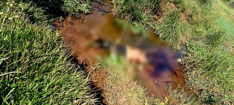 Hallan a hombre asesinado en el Parque Urbano Ecológico de Valle Dorado de Uruapan