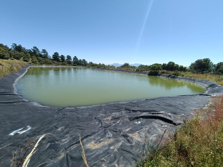 En lo que va del año se han clausurado 15 ollas huachicoleras de agua en Erongarícuaro