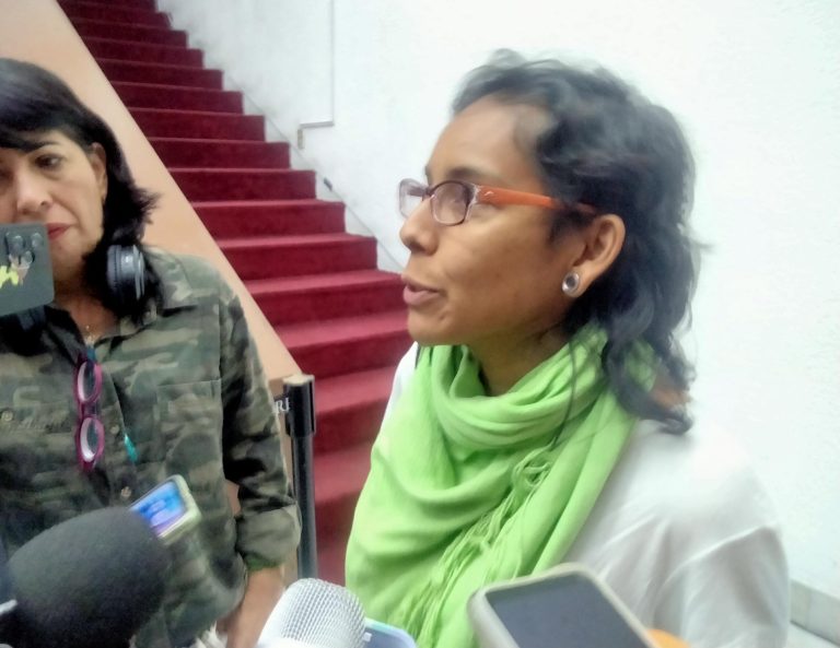 México sin Toreo y activistas alzan la voz en el Congreso de Michoacán por la protección animal y contra la tauromaquia