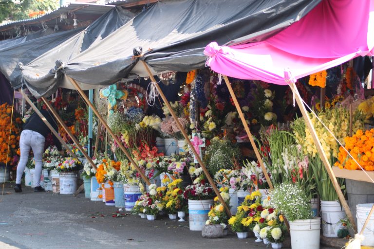 Hasta en un 30 a 40 % incrementa el precio de las flores por temporada