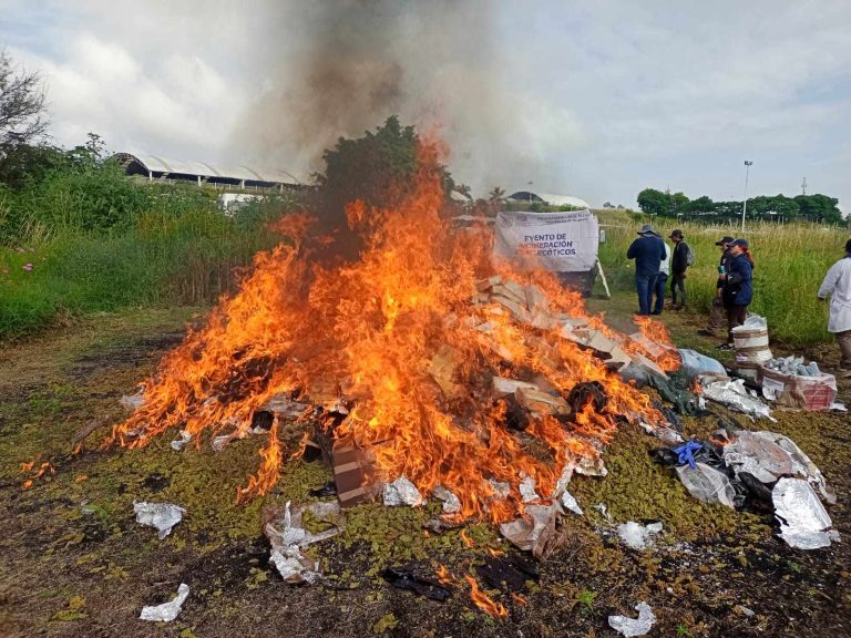 Incineran más de mil kilos de drogas en Michoacán
