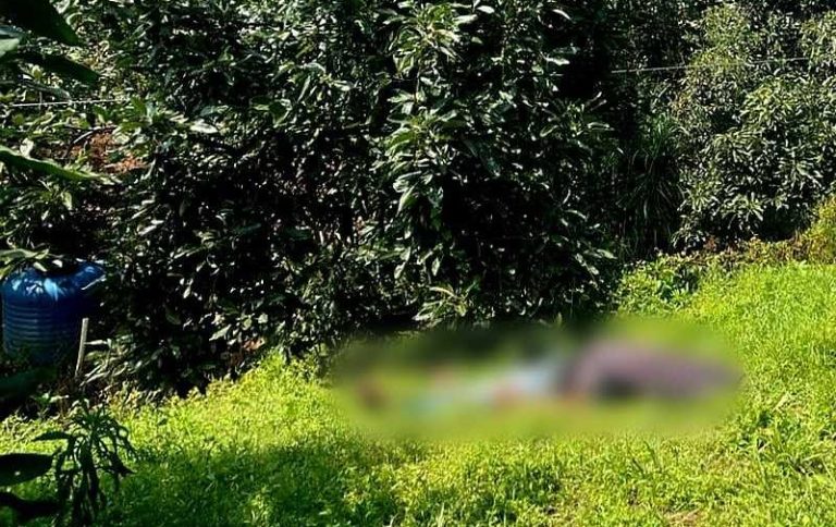 Menor cortador de aguacate muere electrocutado en Peribán