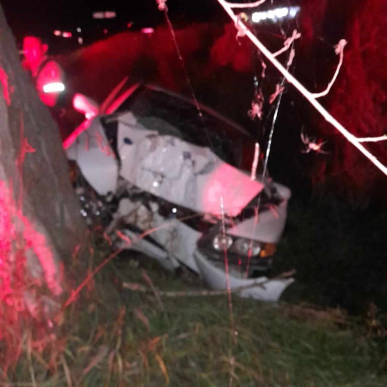 Se registra choque de auto contra árbol en la Pátzcuaro-Morelia; mueren 3 personas