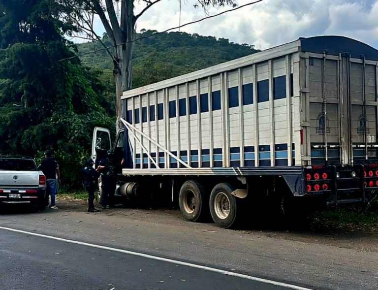 Tras repeler agresión Guardia Civil recupera camión aguacatero robado en la Morelia – Pátzcuaro