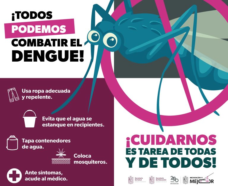 SEE emite recomendaciones para mantener escuelas libres de dengue