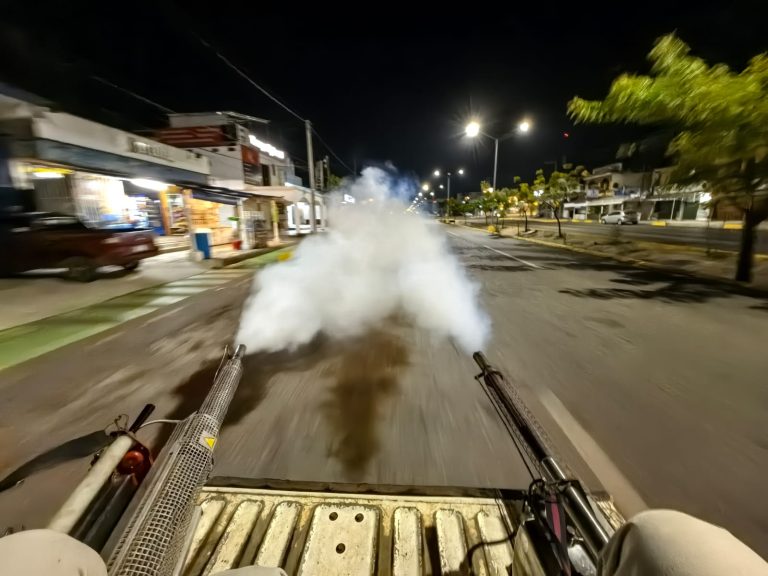 SSM mantiene activas acciones contra el dengue
