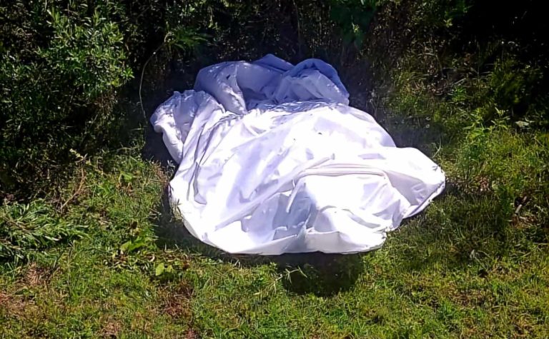 Son cuatro los asesinados de Ocumicho; un aguacatero y tres hermanos jornaleros, las víctimas
