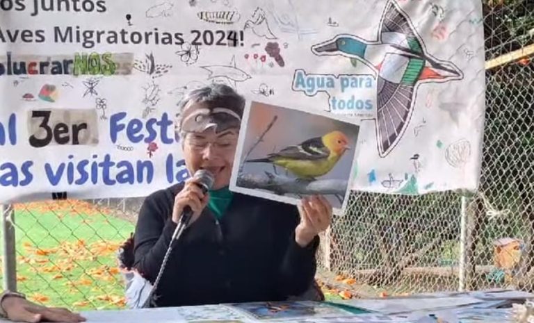 Este sábado será el 3er festival «Las Aves Migratorias Llegan a la Ciudad» en Morelia