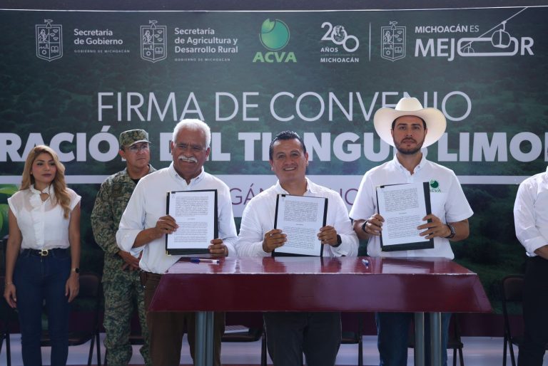 Asume Gobierno la coordinación del Tianguis Limonero de Apatzingán