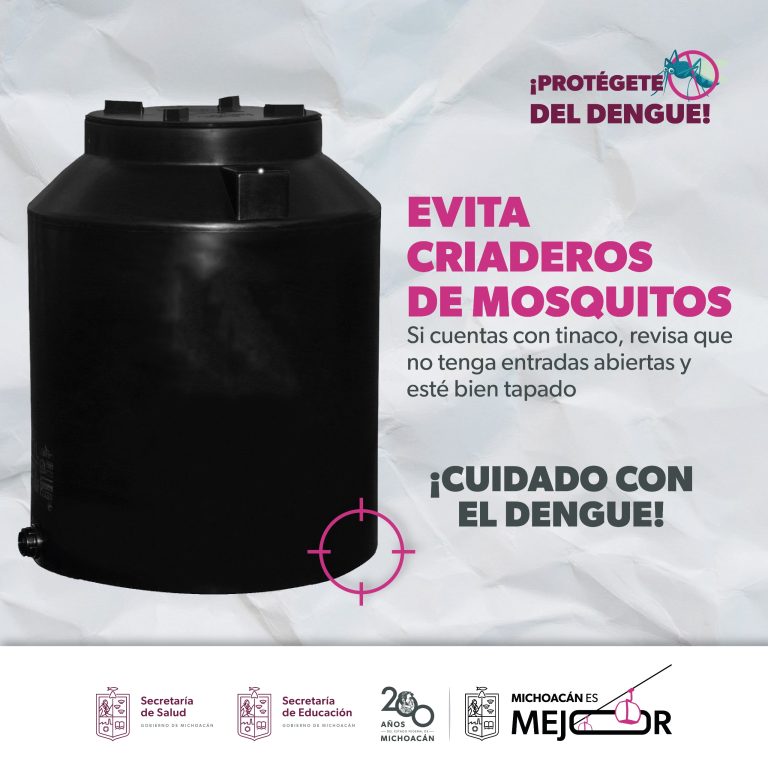 Reitera SEE mantener medidas preventivas contra el dengue en todas las escuelas