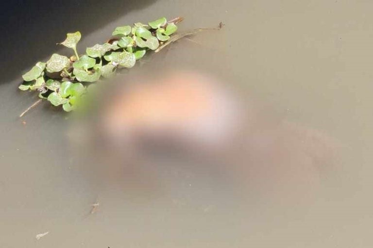 Campesino desaparecido, es hallado muerto en canal de aguas negras de Zamora
