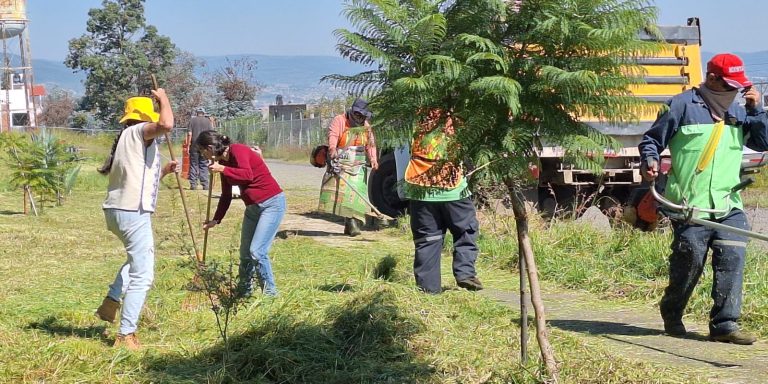 Ayuntamiento de Morelia y vecinos, participan en jornada integral en Bonanza