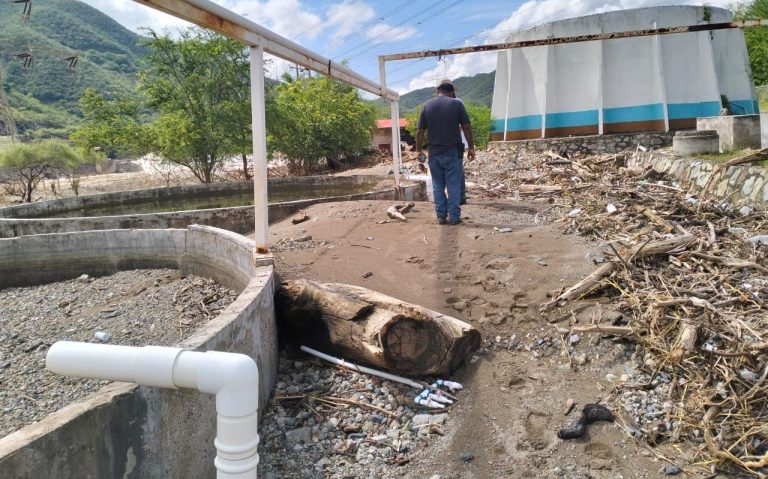 Trabajan para reactivar el Centro Tecnológico de Producción Pesquera