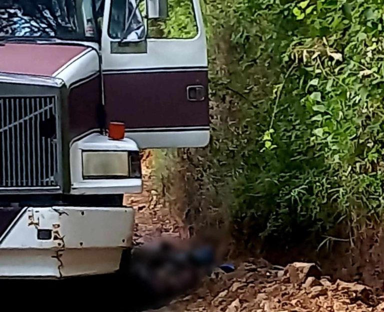 Conductor de camión aguacatero muere electrocutado