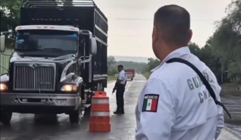 Protegida, citrocultura y actividad de limoneros en Apatzingán, dice alcaldesa