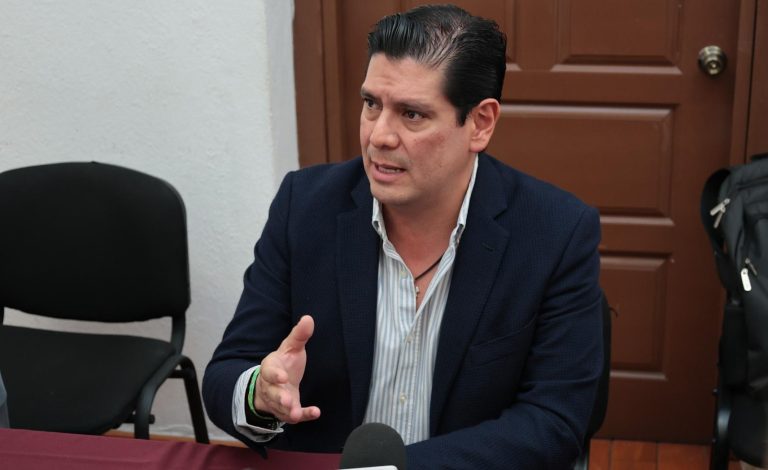 Impulsará PVEM sanciones contra aguacateros por plantaciones ilegales