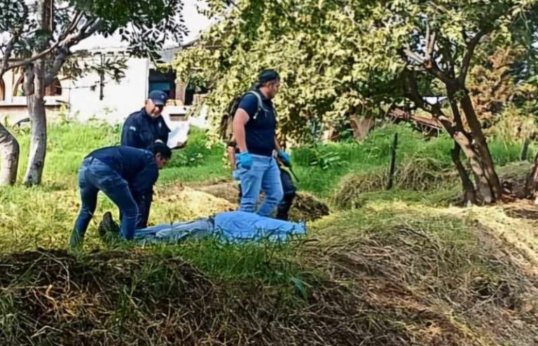 Adulto mayor es asesinado en huerto de guayabas de Jungapeo