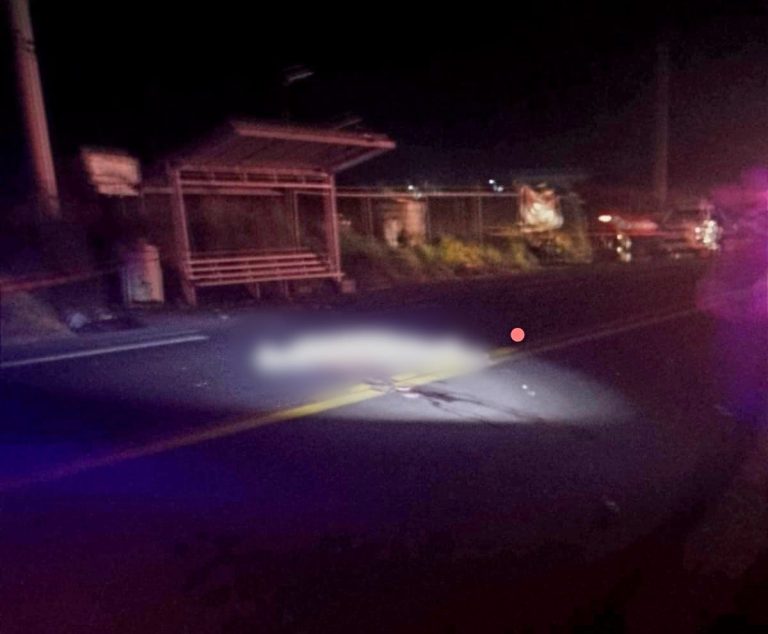 Camioneta embiste motocicleta; menor perece, su papá y hermanos resultaron heridos, en Peribán