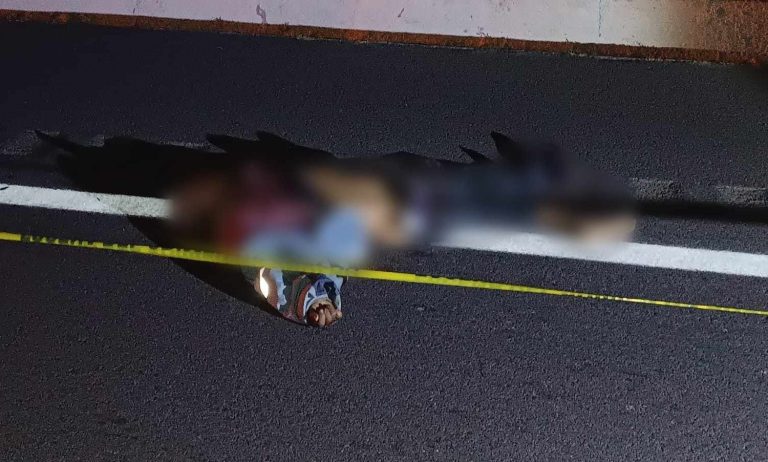 Identifican al adulto mayor que murió atropellado en la autopista Zamora–Ecuandureo