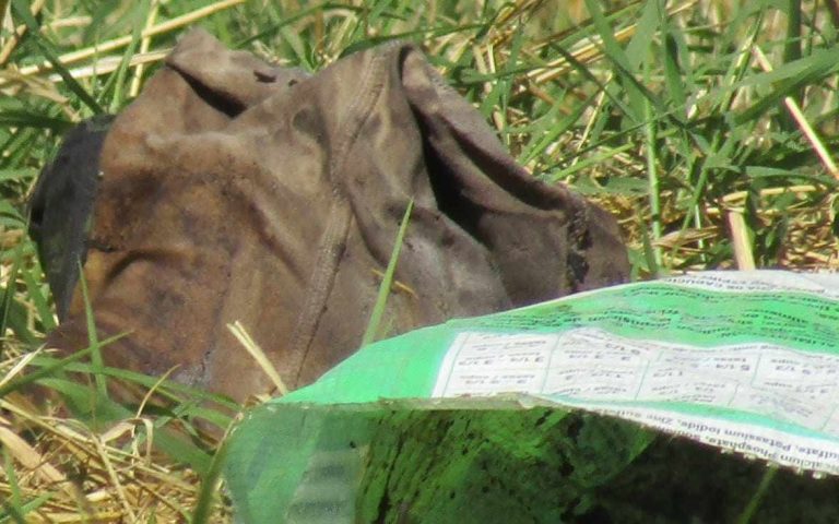 Localizan cabeza cercenada en el Libramiento de Jacona