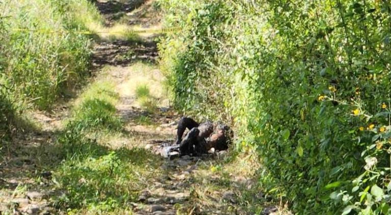 Localizan cadáver calcinado en brecha de Jacona