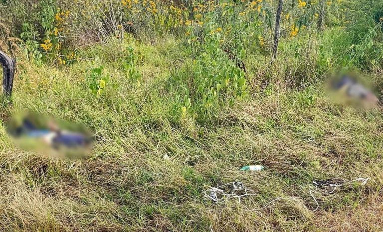 Localizan dos ejecutados a un costado de la carretera, en Tangamandapio