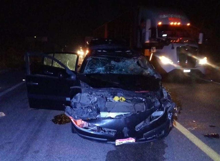 Familia resulta lesionada de gravedad tras atropellar vaca en autopista Siglo XXI