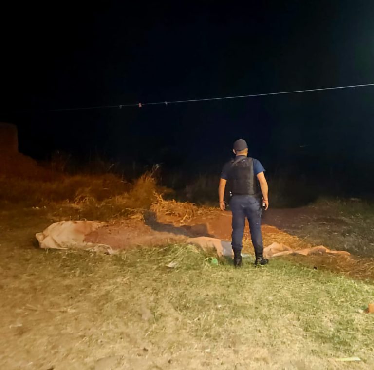 Localizan cadáver putrefacto y sin cabeza, en predio cerril de Jacona