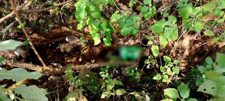 Joven es hallado muerto dentro de un barranco en el municipio de Ocampo