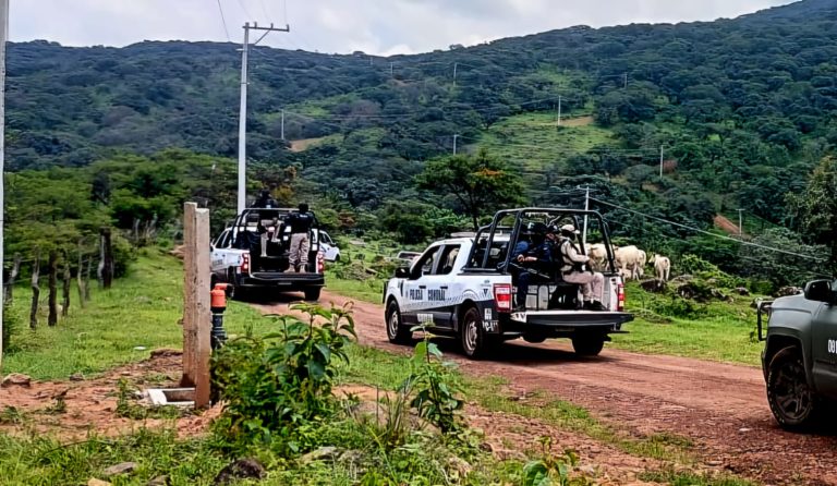 Localizan cadáver desmembrado al interior de una hilera en Zinapécuaro