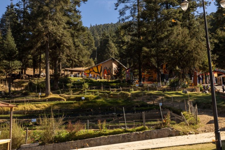 Conoce las rutas para llegar a los Santuarios de la Monarca