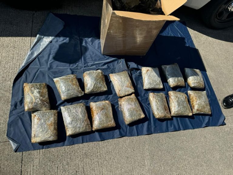 Decomisan autoridades más de 10 kg de mariguana en Uruapan