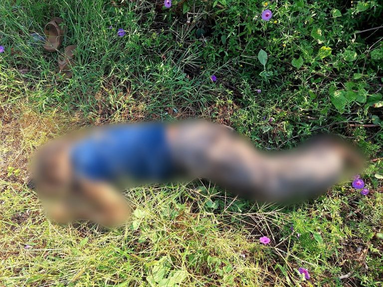 Localizan a hombre muerto en carretera de Apatzingán – Hacienda La Huerta