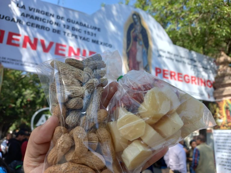 A partir de este sábado inicia instalación de comerciantes para fiestas en honor a la Virgen de Guadalupe