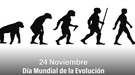 24 NOVIEMBRE
