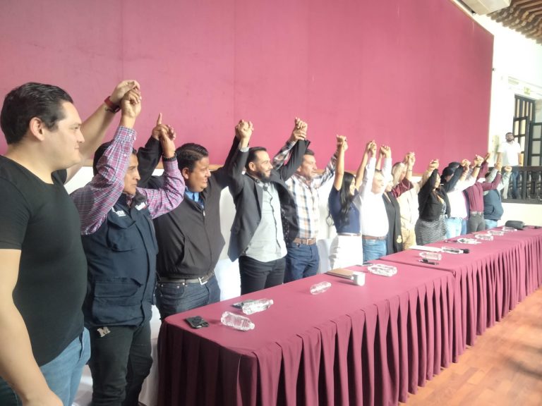 Busca Itze Camacho renovar Morena en Michoacán