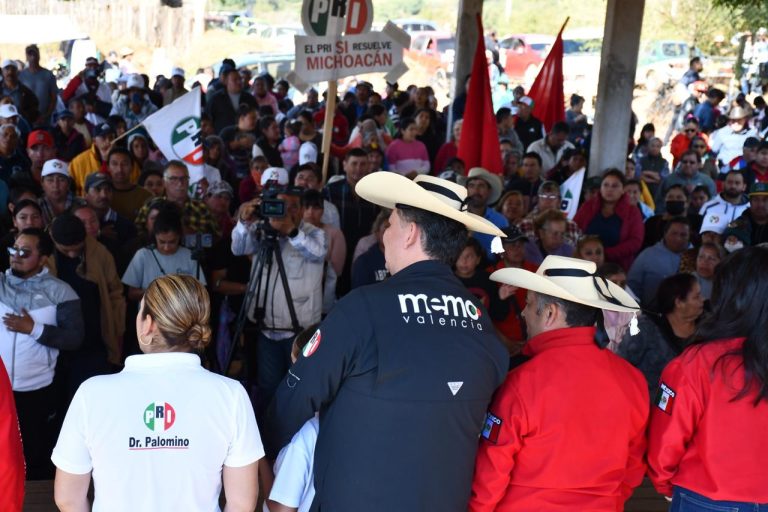 No permitiremos más distorsiones a la ley en Irimbo: PRI